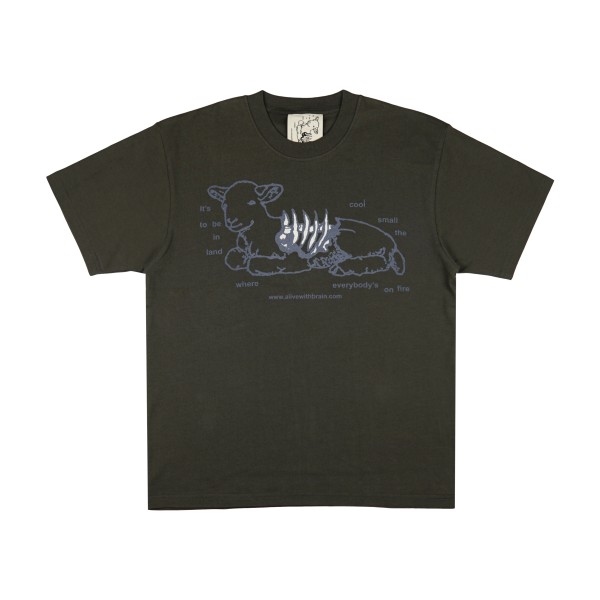 COOLTOBE T-SHIRT DARK-GREY | ALIVEWITHBRAIN